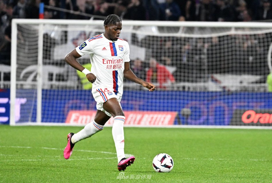 哲科鼻骨骨 哲科鼻骨骨