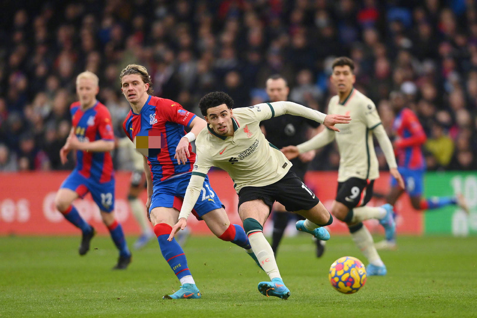 使他在年轻 使他在年轻